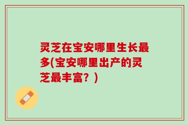 灵芝在宝安哪里生长最多(宝安哪里出产的灵芝最丰富？)