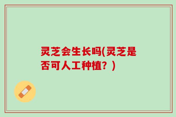灵芝会生长吗(灵芝是否可人工种植？)