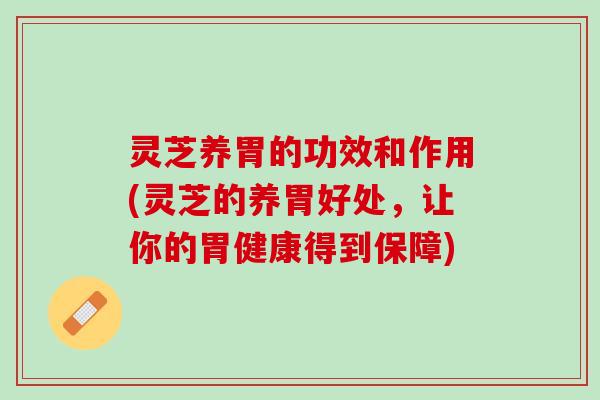 灵芝养胃的功效和作用(灵芝的养胃好处，让你的胃健康得到保障)