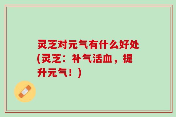 灵芝对元气有什么好处(灵芝：补气活血，提升元气！)