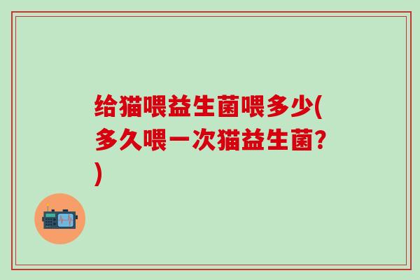 给猫喂益生菌喂多少(多久喂一次猫益生菌？)