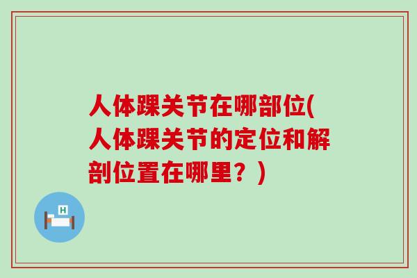 人体踝关节在哪部位(人体踝关节的定位和解剖位置在哪里？)