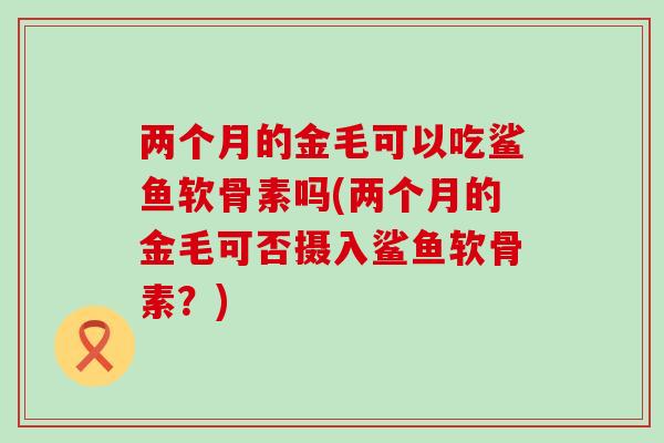 两个月的金毛可以吃鲨鱼软骨素吗(两个月的金毛可否摄入鲨鱼软骨素？)
