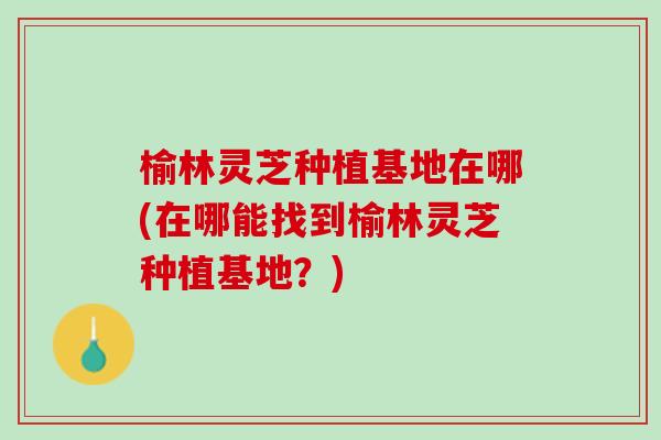 榆林灵芝种植基地在哪(在哪能找到榆林灵芝种植基地？)