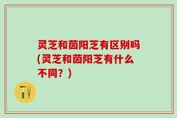 灵芝和茵阳芝有区别吗(灵芝和茵阳芝有什么不同？)