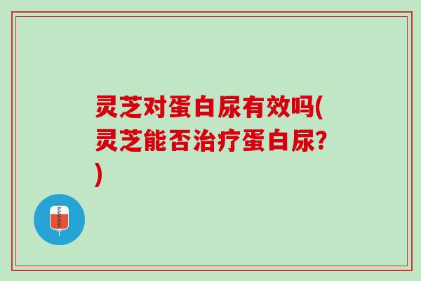 灵芝对蛋白尿有效吗(灵芝能否治疗蛋白尿？)