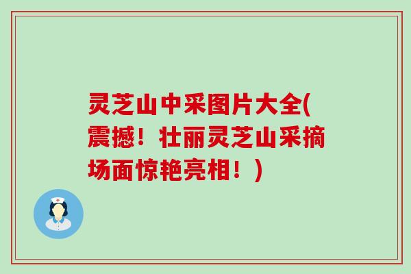 灵芝山中采图片大全(震撼！壮丽灵芝山采摘场面惊艳亮相！)
