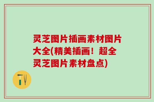 灵芝图片插画素材图片大全(精美插画！超全灵芝图片素材盘点)