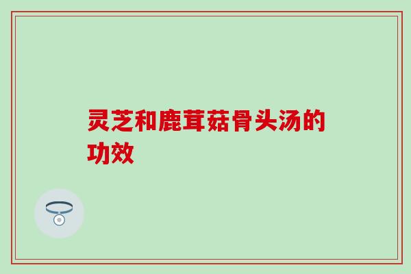 灵芝和鹿茸菇骨头汤的功效