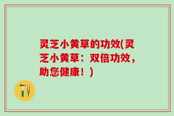 灵芝小黄草的功效(灵芝小黄草：双倍功效，助您健康！)