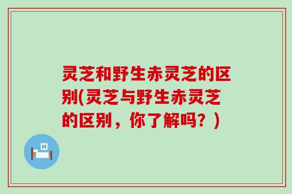 灵芝和野生赤灵芝的区别(灵芝与野生赤灵芝的区别，你了解吗？)