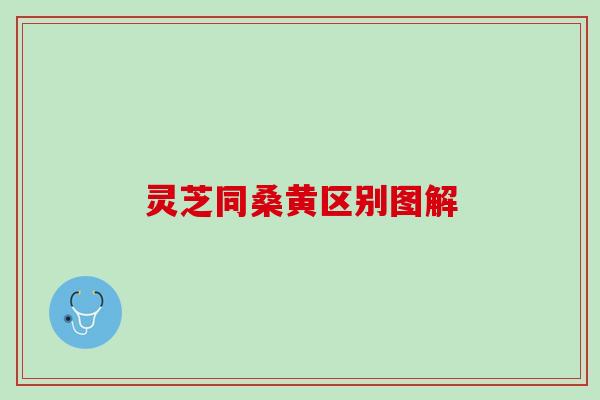 灵芝同桑黄区别图解