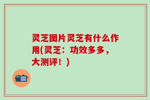 灵芝图片灵芝有什么作用(灵芝：功效多多，大测评！)