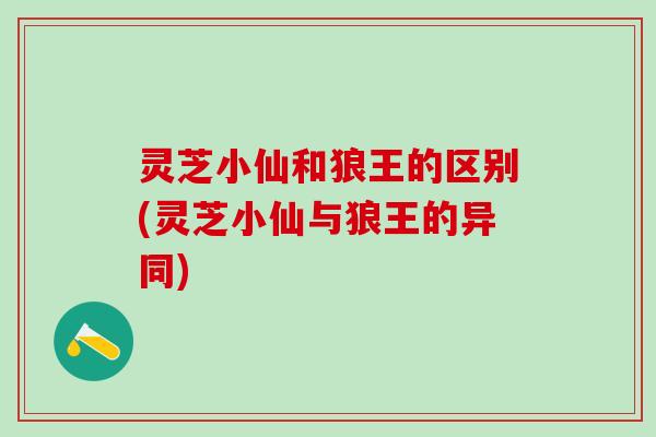 灵芝小仙和狼王的区别(灵芝小仙与狼王的异同)