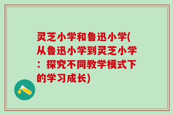 灵芝小学和鲁迅小学(从鲁迅小学到灵芝小学：探究不同教学模式下的学习成长)