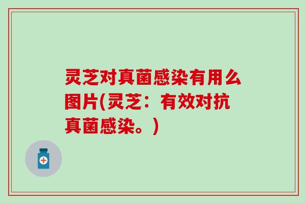 灵芝对真菌感染有用么图片(灵芝：有效对抗真菌感染。)