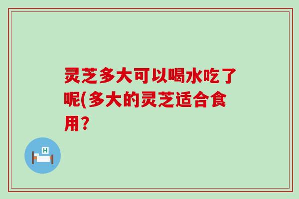 灵芝多大可以喝水吃了呢(多大的灵芝适合食用？