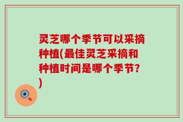 灵芝哪个季节可以采摘种植(最佳灵芝采摘和种植时间是哪个季节？)