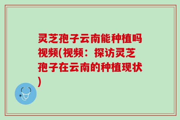 灵芝孢子云南能种植吗视频(视频：探访灵芝孢子在云南的种植现状)