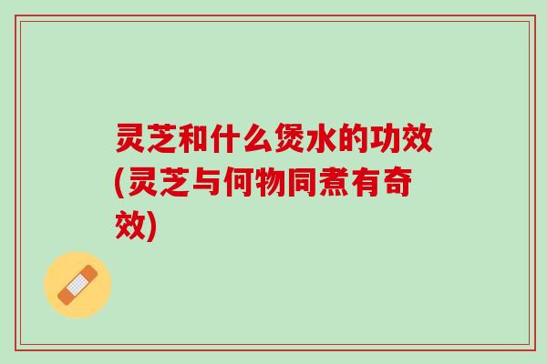 灵芝和什么煲水的功效(灵芝与何物同煮有奇效)