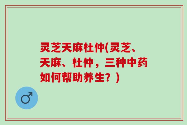 灵芝天麻杜仲(灵芝、天麻、杜仲，三种中药如何帮助养生？)