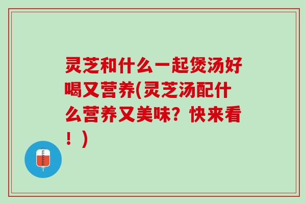 灵芝和什么一起煲汤好喝又营养(灵芝汤配什么营养又美味？快来看！)