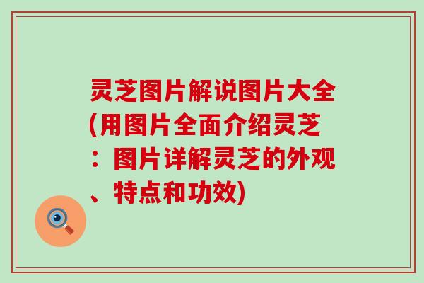 灵芝图片解说图片大全(用图片全面介绍灵芝：图片详解灵芝的外观、特点和功效)
