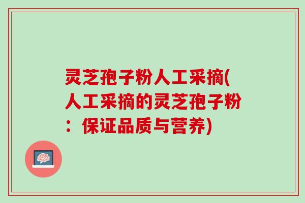 灵芝孢子粉人工采摘(人工采摘的灵芝孢子粉：保证品质与营养)