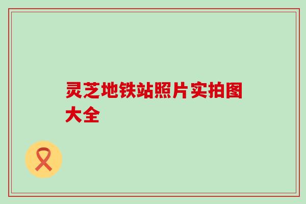 灵芝地铁站照片实拍图大全
