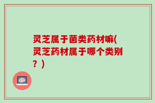 灵芝属于菌类药材嘛(灵芝药材属于哪个类别？)