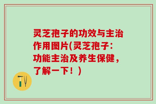 灵芝孢子的功效与主治作用图片(灵芝孢子：功能主治及养生保健，了解一下！)
