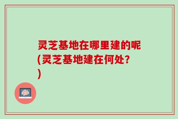 灵芝基地在哪里建的呢(灵芝基地建在何处？)