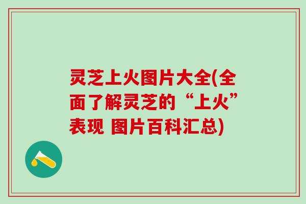 灵芝上火图片大全(全面了解灵芝的“上火”表现 图片百科汇总)