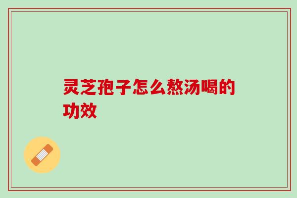 灵芝孢子怎么熬汤喝的功效
