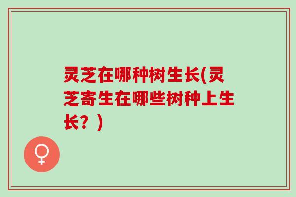 灵芝在哪种树生长(灵芝寄生在哪些树种上生长？)