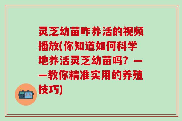 灵芝幼苗咋养活的视频播放(你知道如何科学地养活灵芝幼苗吗？——教你精准实用的养殖技巧)