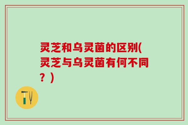 灵芝和乌灵菌的区别(灵芝与乌灵菌有何不同？)