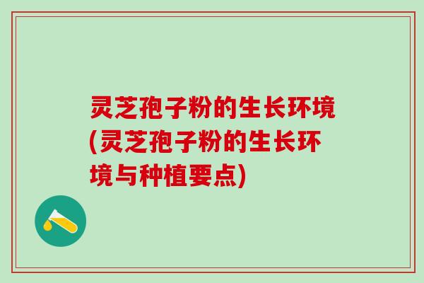 灵芝孢子粉的生长环境(灵芝孢子粉的生长环境与种植要点)