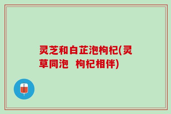灵芝和白芷泡枸杞(灵草同泡  枸杞相伴)