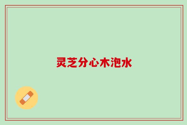灵芝分心木泡水