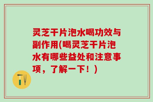 灵芝干片泡水喝功效与副作用(喝灵芝干片泡水有哪些益处和注意事项，了解一下！)