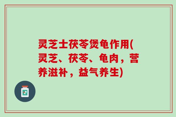 灵芝士茯苓煲龟作用(灵芝、茯苓、龟肉，营养滋补，益气养生)