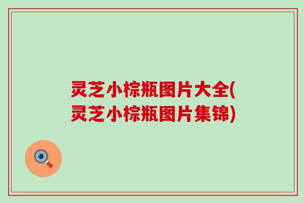 灵芝小棕瓶图片大全(灵芝小棕瓶图片集锦)