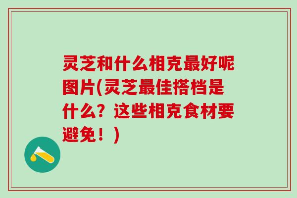 灵芝和什么相克最好呢图片(灵芝最佳搭档是什么？这些相克食材要避免！)