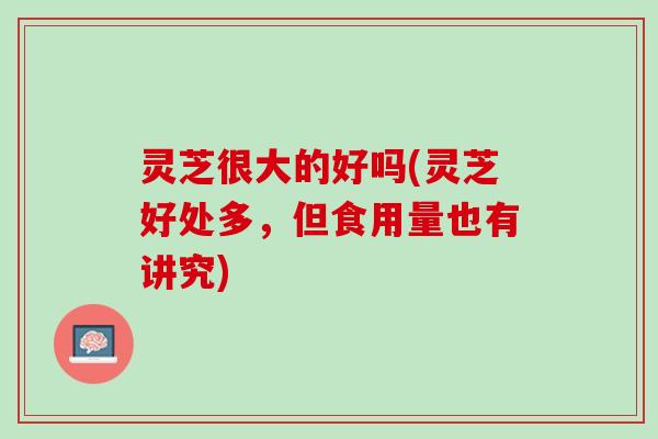 灵芝很大的好吗(灵芝好处多，但食用量也有讲究)