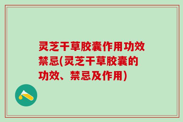 灵芝干草胶囊作用功效禁忌(灵芝干草胶囊的功效、禁忌及作用)