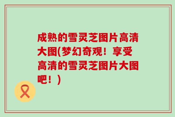 成熟的雪灵芝图片高清大图(梦幻奇观！享受高清的雪灵芝图片大图吧！)