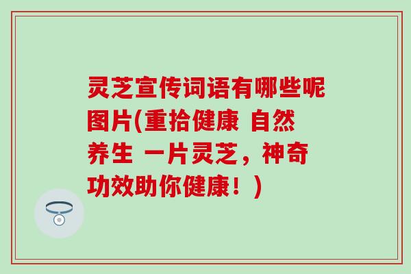 灵芝宣传词语有哪些呢图片(重拾健康 自然养生 一片灵芝，神奇功效助你健康！)