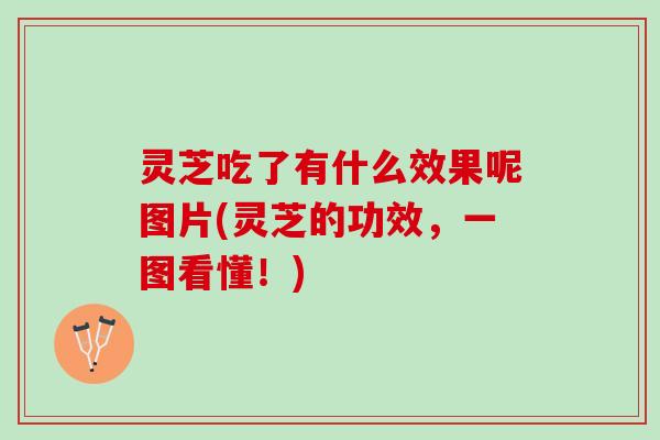 灵芝吃了有什么效果呢图片(灵芝的功效，一图看懂！)