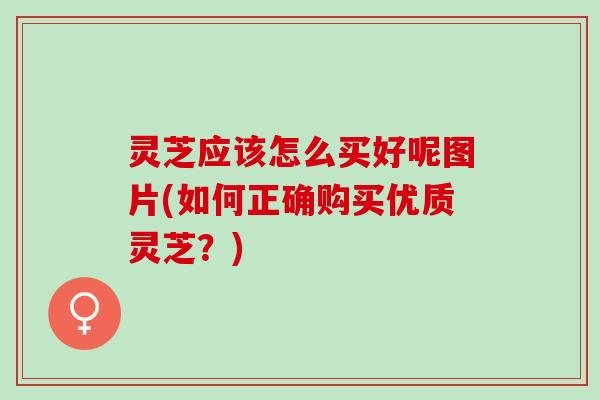 灵芝应该怎么买好呢图片(如何正确购买优质灵芝?) 灵芝应该怎么买好呢图片(如何正确购买优质灵芝?)